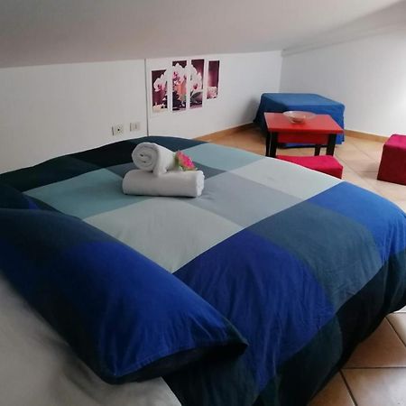 Apartamento Casa del Loto Fiumicino Exterior foto
